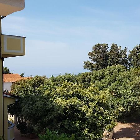 Premium Appartments Suha Punta Kampor Екстериор снимка